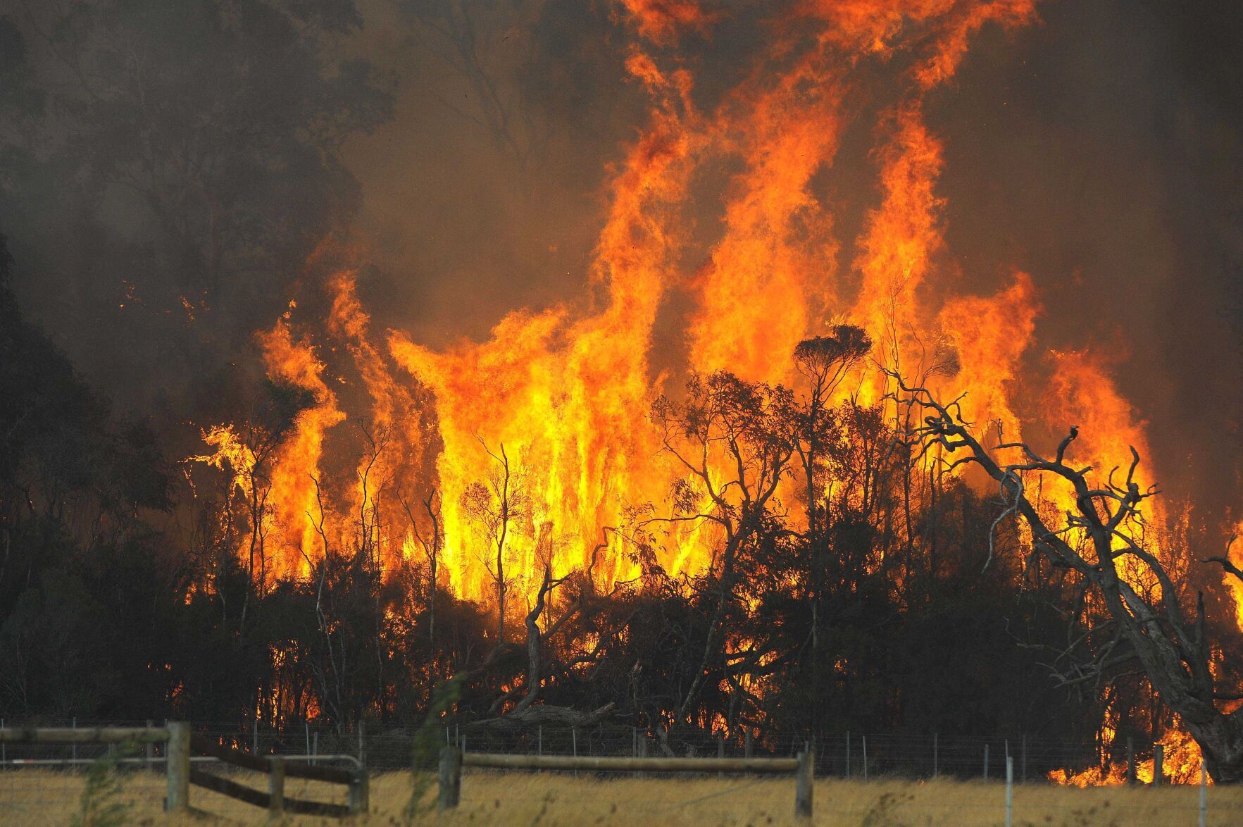 Jan. 13, 1939: Black Friday bushfires